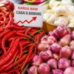 harga-cabai-kota-medan