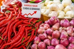 harga-cabai-kota-medan