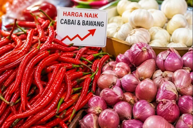harga-cabai-kota-medan
